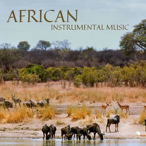 African Instrumental Music