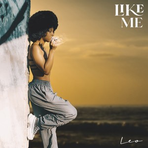 Like Me (Explicit)