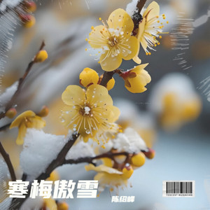 寒梅傲雪 (伴奏)