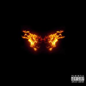 Butterfly Effect (Explicit)