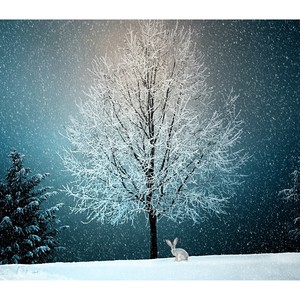 20 Cozy Christmas & New Year Chillout Celebration Tracks