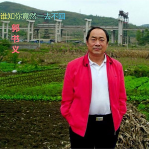 谁知你竟然一去不回