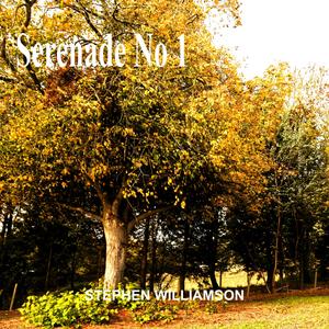 Serenade No 1 Movement 1 Largo