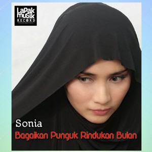 Bagaikan Punguk Rindukan Bulan