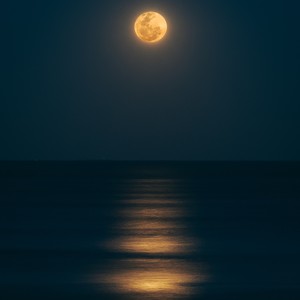 Moon(Prod.by Jay 808 Beats)