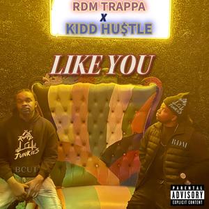 Like You (feat. Kidd Hustle) [Explicit]