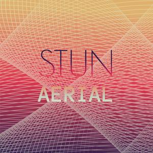 Stun Aerial