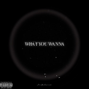 What you wanna (Explicit)