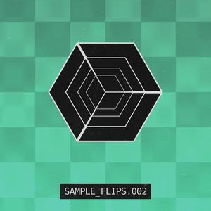 SAMPLE_FLIPS.002 (Explicit)