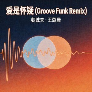 爱是怀疑 (GrooveFunkRemix)