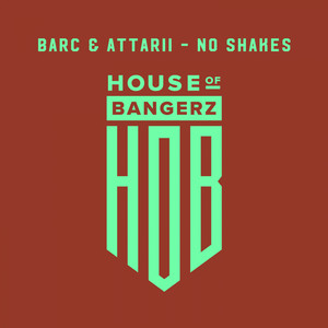 No Shakes (Original Mix)