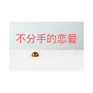 我想我不够好 (DJ版)