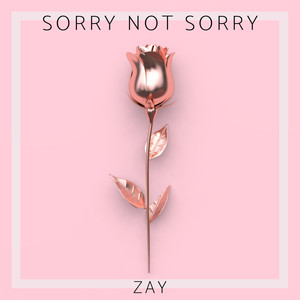 Sorry Not Sorry