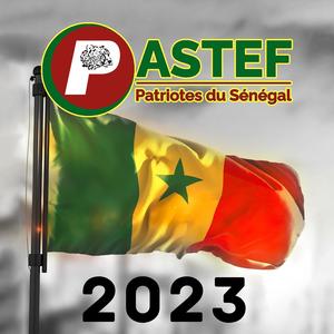 Pastef Patriotes du Sénégal 2023