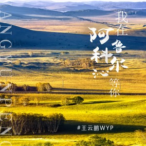 我在阿鲁科尔沁等你 (伴奏)