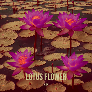 Lotus Flower