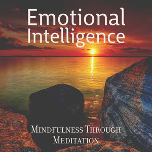 Emotional Intelligence: Mindfulness Through Meditation, Self Awareness, Anti Stress Therapy