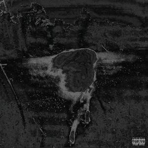 Sealed (feat. Tyxonsmith) (Explicit)