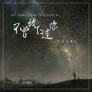 不曾放下过你 (DJ彭锐版)