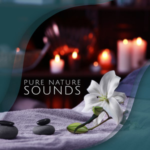 Pure Nature Sounds (Birds, Rain, Sea, Stream, Wave Splash for Meditation, Relaxation, Spa, Massage, Yoga, Zen, Spiritual Practices)