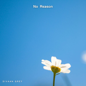 No Reason