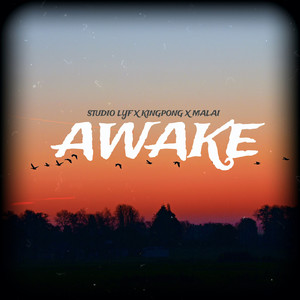AWAKE