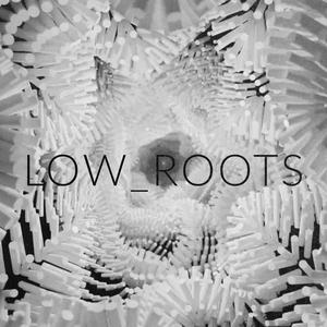 LOW_ROOTS