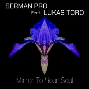 Mirror To Your Soul(feat. Lukas Toro)