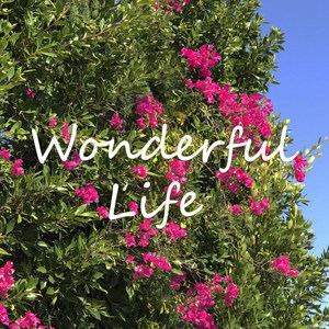 Wonderful Life