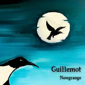 Guillemot