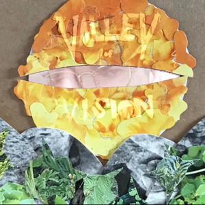 Jae Dorado - seasonal regression(feat. metroworldpeace & animist) (Explicit)