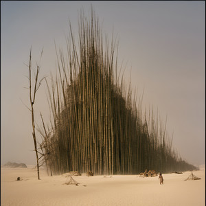 Life Is a Bamboo