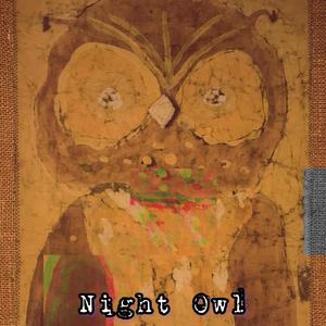 Night Owl (Explicit)