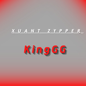 Xuant zypper