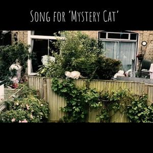 Song For Mystery Cat