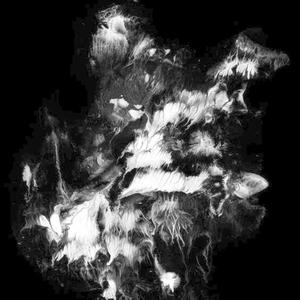 acide aminé (feat. Chisa & Bradkuzy) (Explicit)