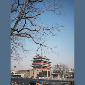 放松大脑舒缓压力