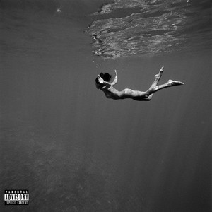 Flutter (Explicit)