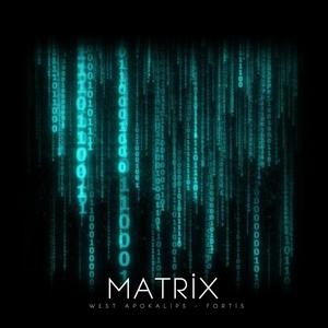 Matrix (feat. Fortis)