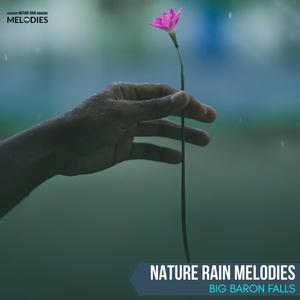 Nature Rain Melodies - Big Baron Falls