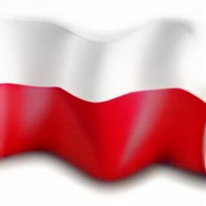 Fellas In Poland. (Explicit)