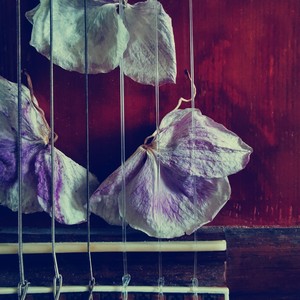 Mi Centro Vine a Encontrar