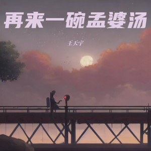 再来一碗孟婆汤-王天宇