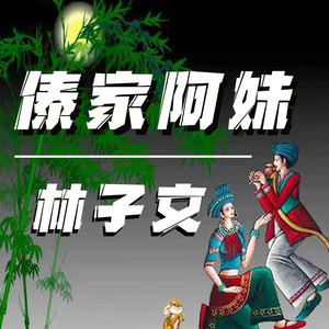 林子 - 傣家阿妹 (伴奏)