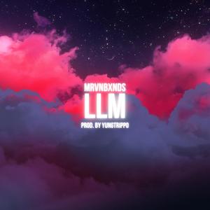 LLM (feat. YungTrippo) (Akustik Version) (Explicit)