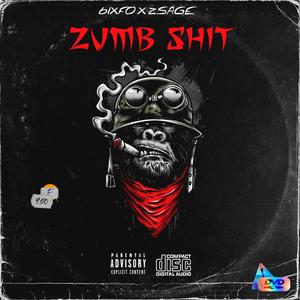 Zumb **** (feat. 6ixfo) (Explicit)