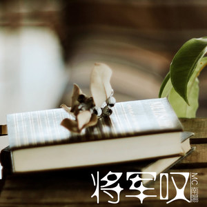 十里桃花望佳人