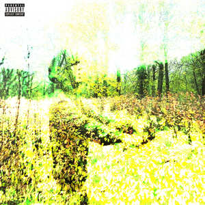 Один дома (Explicit)