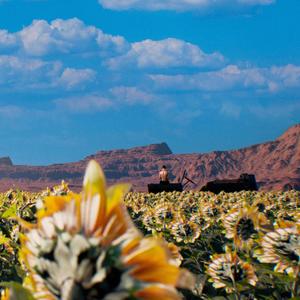 Giralunas (Explicit)