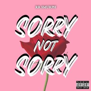 Sorry Not Sorry (Explicit)